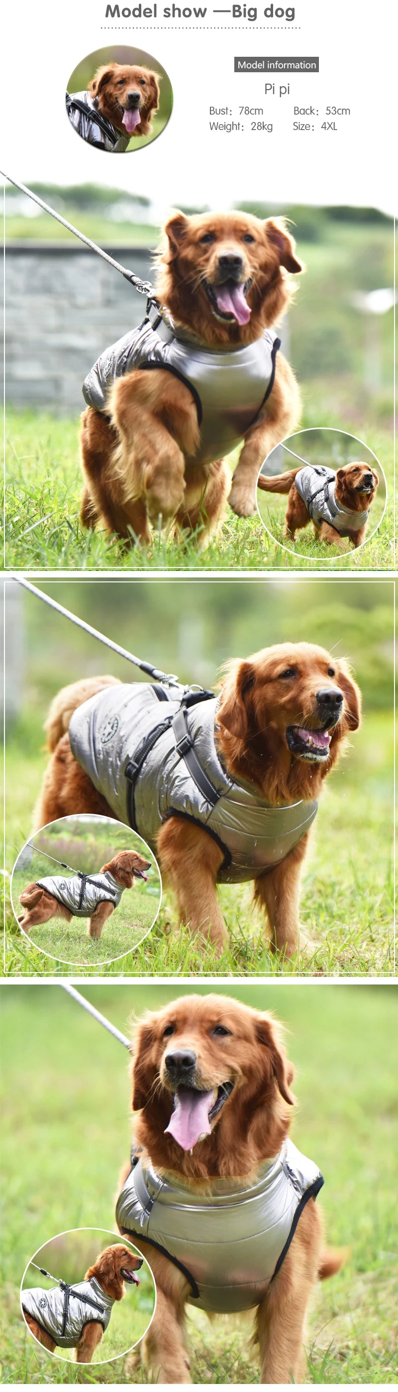 Waterproof Winter Dog Jacket with Harness