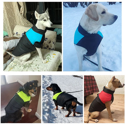Warm Waterproof Dog Jacket for All Breeds