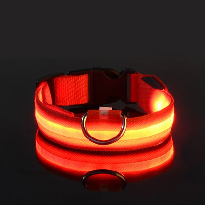 LED Night Safety Dog Leash & Collar – Glow in the Dark for Maximum Visibility
