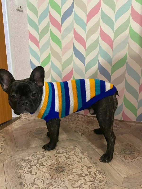 Warm Knitted Dog Sweater for Small & Medium Pets