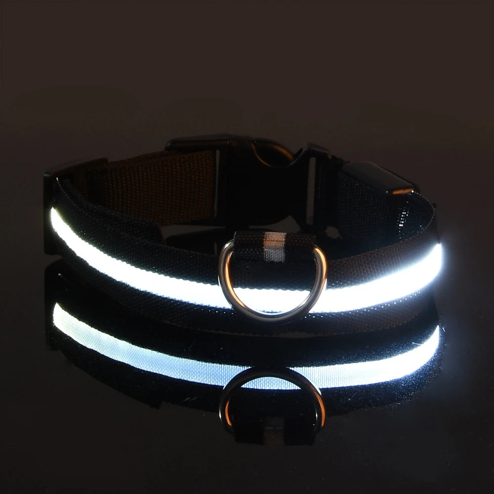 LED Night Safety Dog Leash & Collar – Glow in the Dark for Maximum Visibility