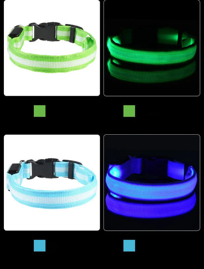 LED Night Safety Dog Leash & Collar – Glow in the Dark for Maximum Visibility