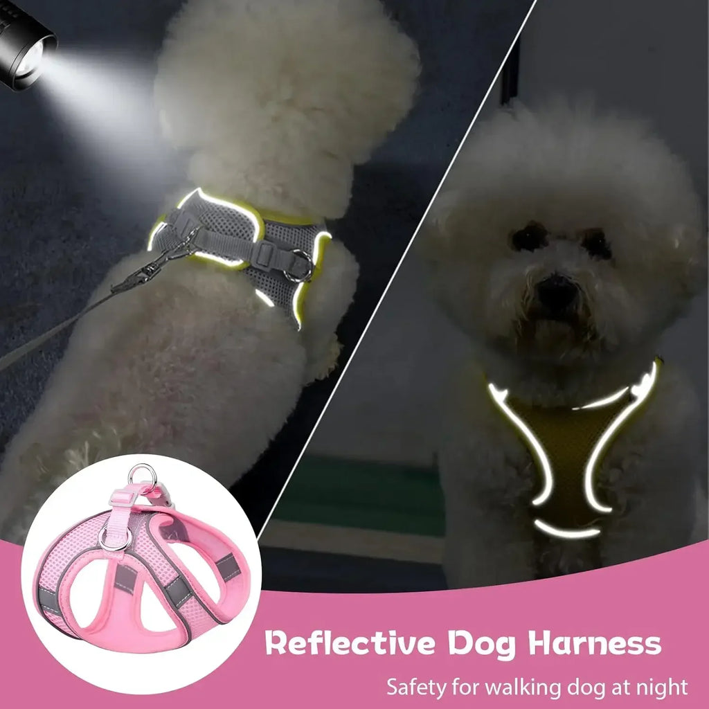 Escape-Proof Pet Harness & Leash Set – Reflective Vest for Small Dogs and Cats