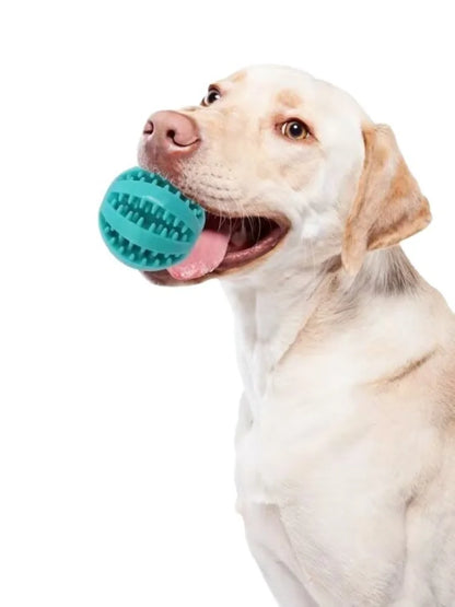 Interactive Rubber Ball – Fun, Safe, and Engaging for Pets