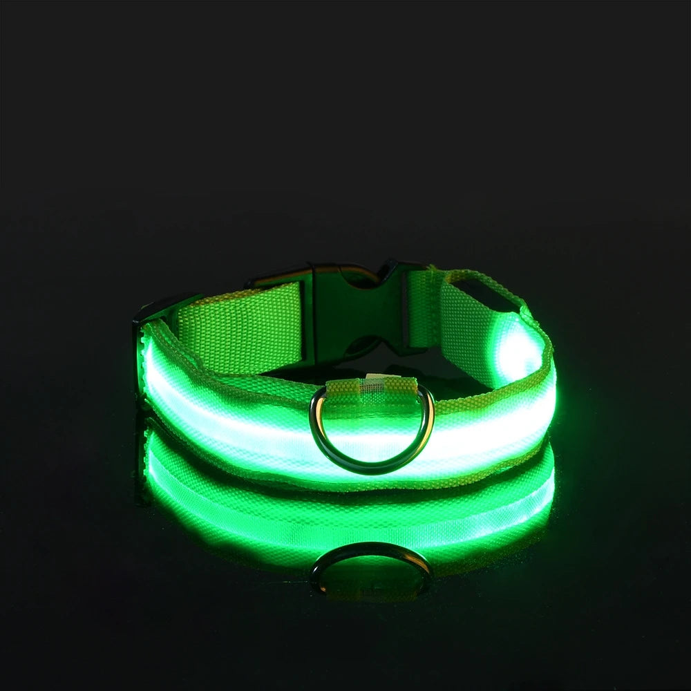 LED Night Safety Dog Leash & Collar – Glow in the Dark for Maximum Visibility