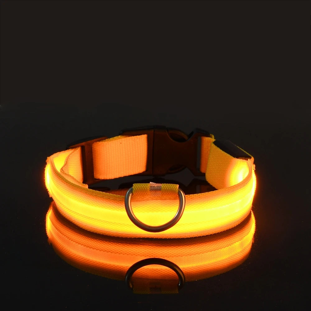 LED Night Safety Dog Leash & Collar – Glow in the Dark for Maximum Visibility