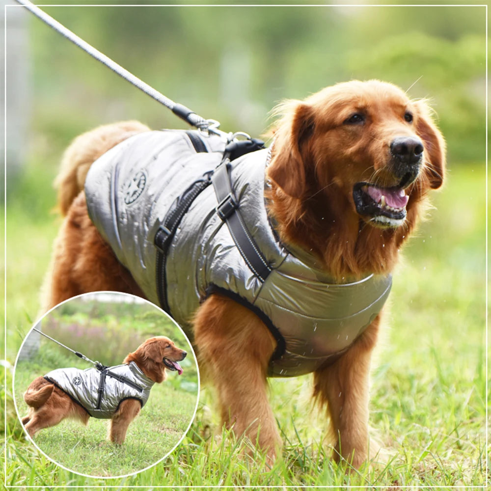 Waterproof Winter Dog Jacket with Harness