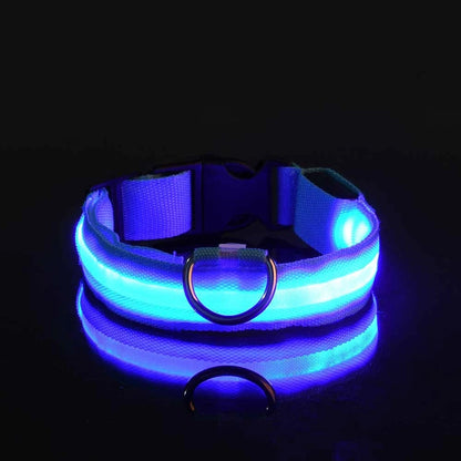 LED Night Safety Dog Leash & Collar – Glow in the Dark for Maximum Visibility
