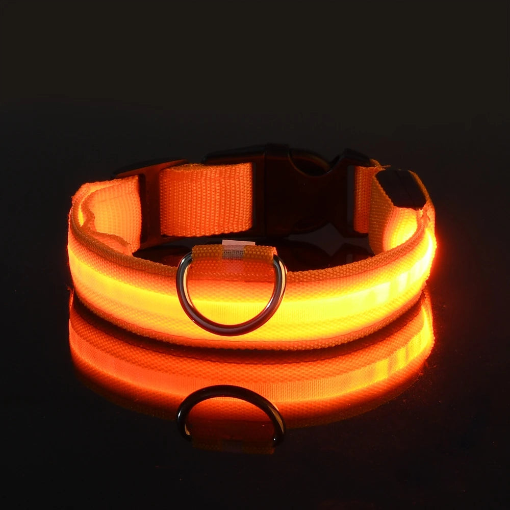 LED Night Safety Dog Leash & Collar – Glow in the Dark for Maximum Visibility