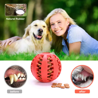 Interactive Rubber Ball – Fun, Safe, and Engaging for Pets