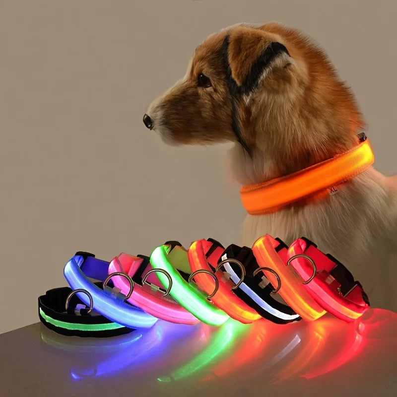 LED Night Safety Dog Leash & Collar – Glow in the Dark for Maximum Visibility