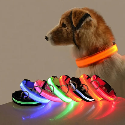 LED Night Safety Dog Leash & Collar – Glow in the Dark for Maximum Visibility