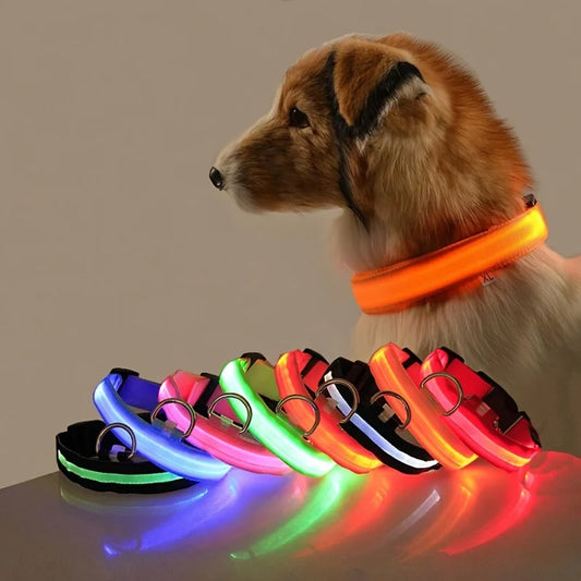 LED Night Safety Dog Leash & Collar – Glow in the Dark for Maximum Visibility