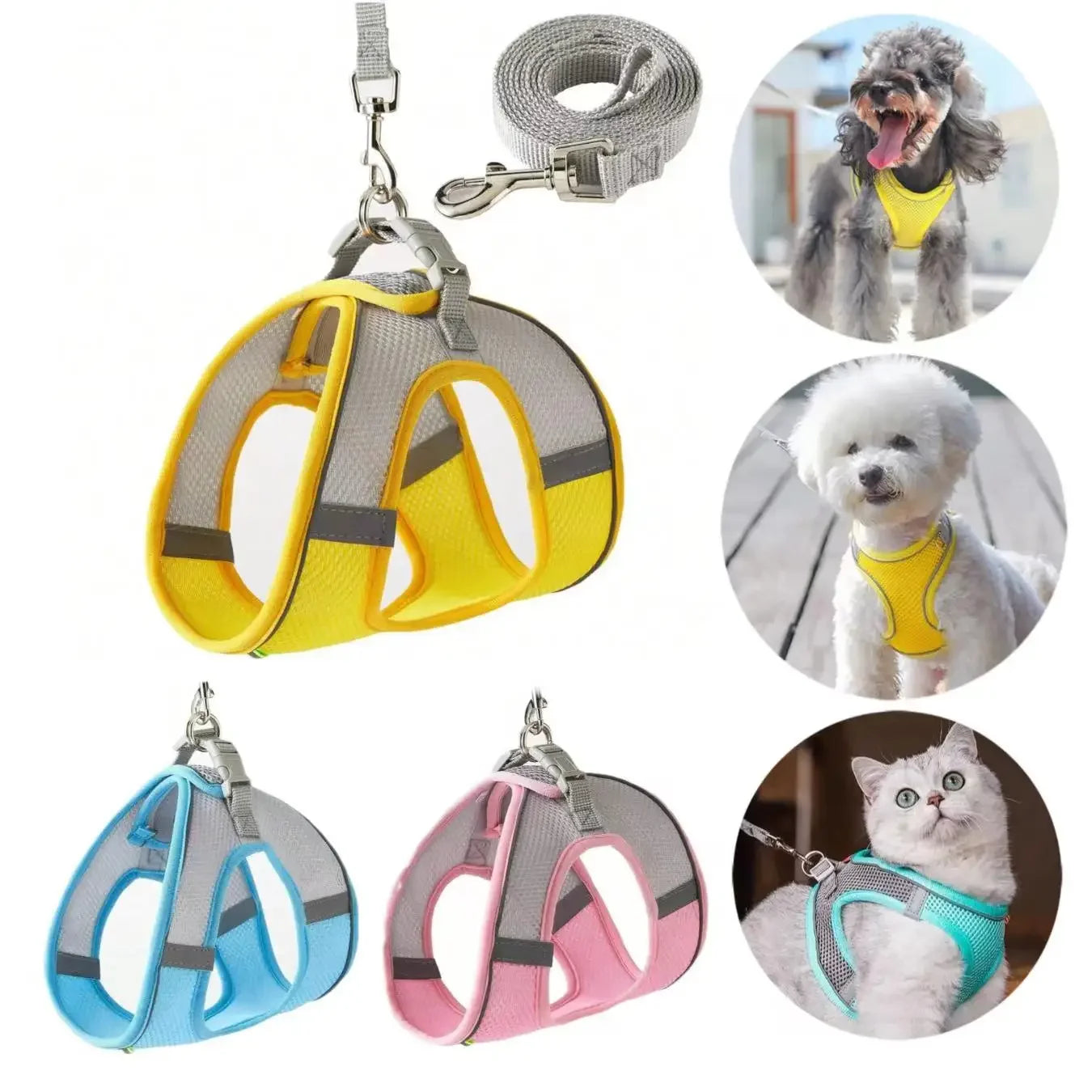 Escape-Proof Pet Harness & Leash for Small Pets