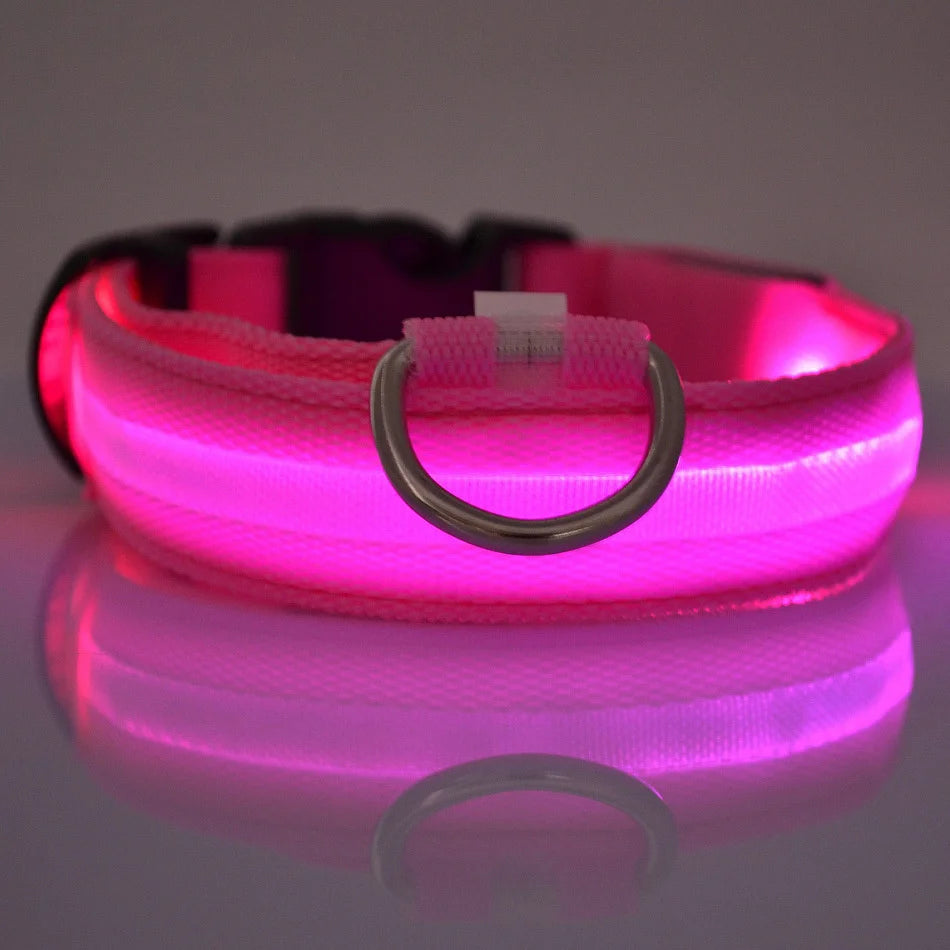 LED Night Safety Dog Leash & Collar – Glow in the Dark for Maximum Visibility
