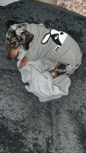 Warm Knitted Dog Sweater for Small & Medium Pets