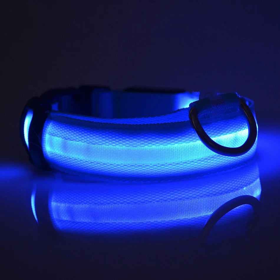 LED Night Safety Dog Leash & Collar – Glow in the Dark for Maximum Visibility