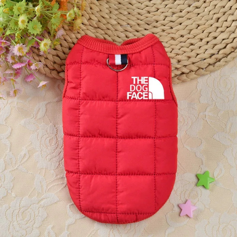 Trendy Winter Dog Coat for Small Breeds