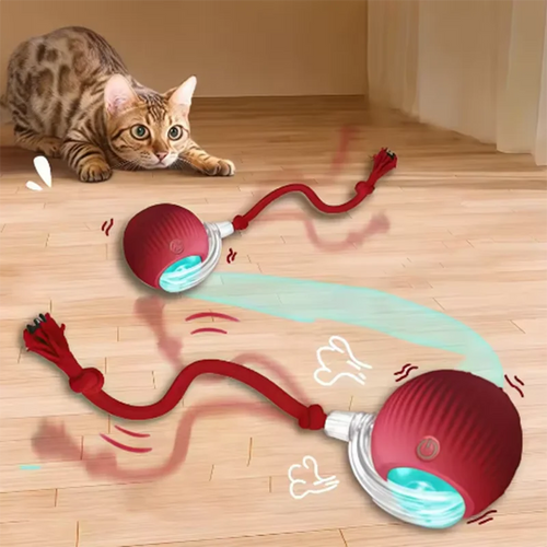 Automatic Teasing Cat Balls & Sticks - Durable Toys