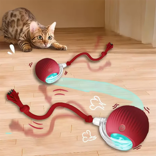 Automatic Teasing Cat Balls & Sticks - Durable Toys