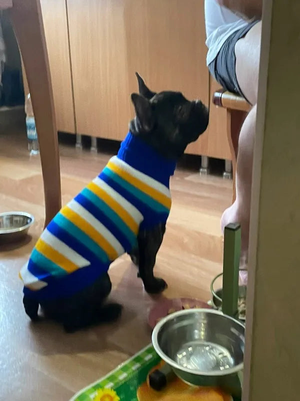 Warm Knitted Dog Sweater for Small & Medium Pets