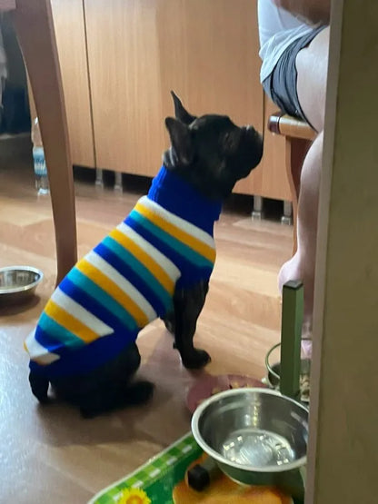 Warm Knitted Dog Sweater for Small & Medium Pets