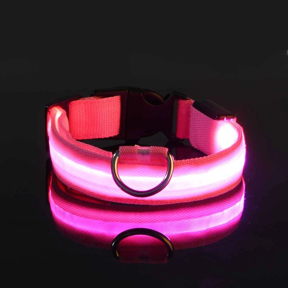 LED Night Safety Dog Leash & Collar – Glow in the Dark for Maximum Visibility