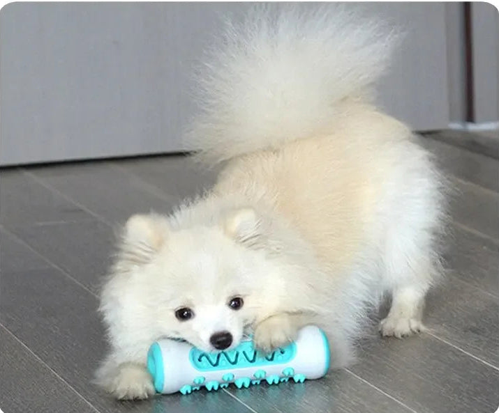 Dog Dental Chew Toys for Teeth Cleaning Puppy