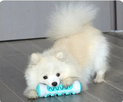Dog Dental Chew Toys for Teeth Cleaning Puppy