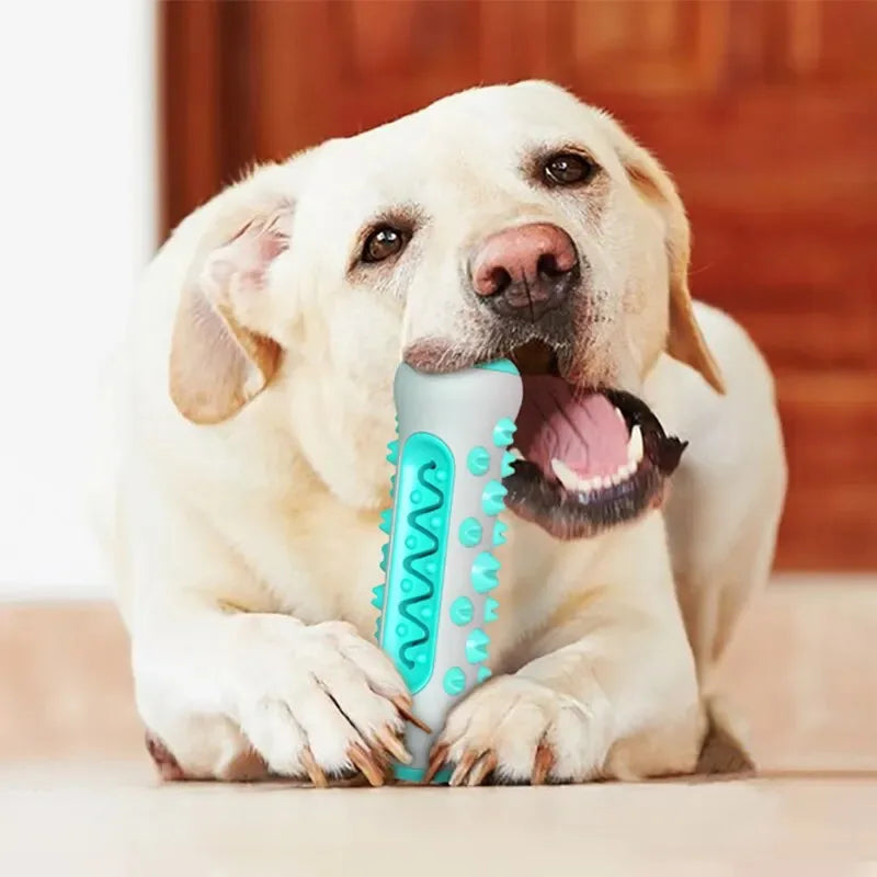 Dog Dental Chew Toys for Teeth Cleaning Puppy