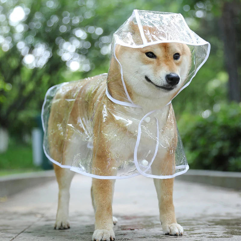 Pet Dog Transparent Raincoat  Waterproof Jacket
