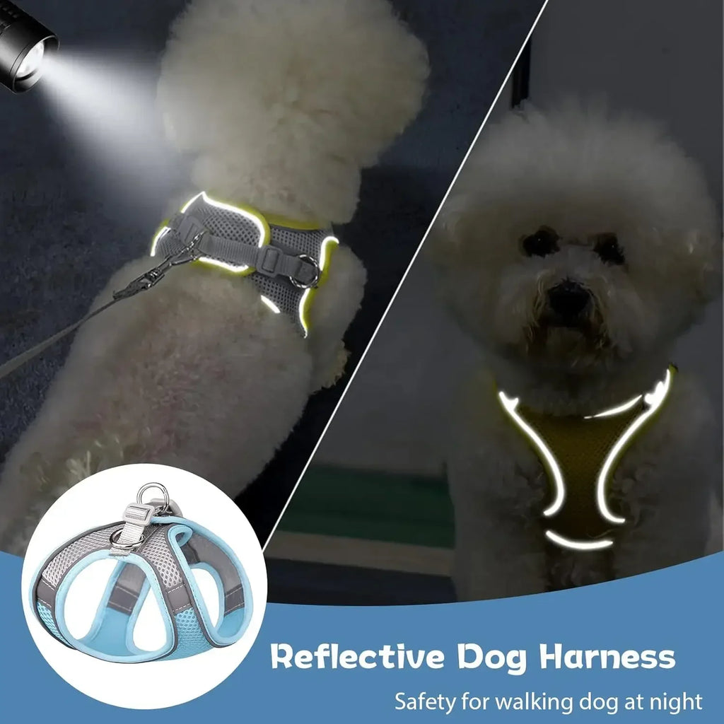 Escape-Proof Pet Harness & Leash Set – Reflective Vest for Small Dogs and Cats