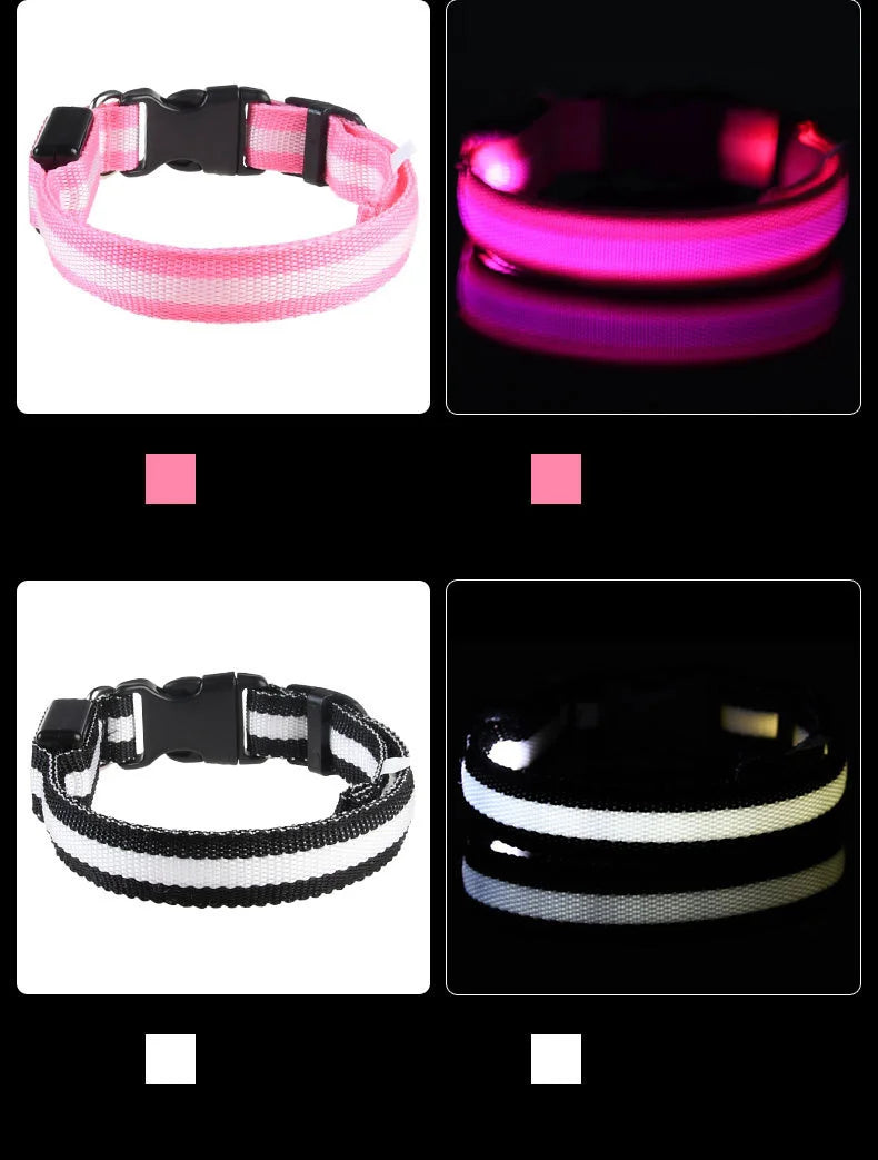 LED Night Safety Dog Leash & Collar – Glow in the Dark for Maximum Visibility