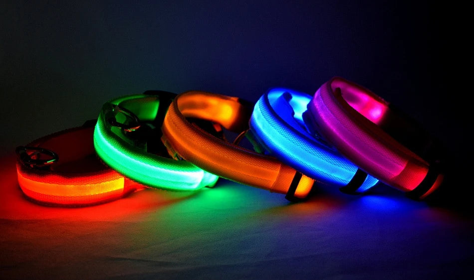 LED Night Safety Dog Leash & Collar – Glow in the Dark for Maximum Visibility