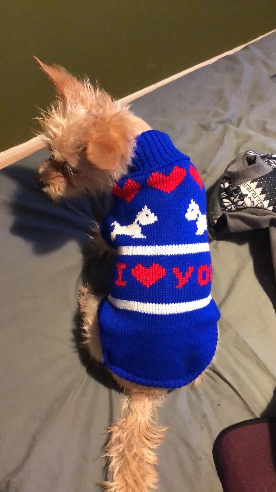 Warm Knitted Dog Sweater for Small & Medium Pets