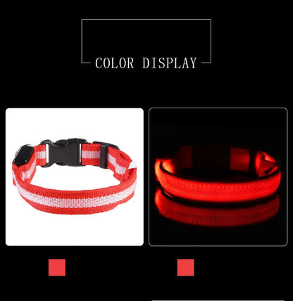 LED Night Safety Dog Leash & Collar – Glow in the Dark for Maximum Visibility